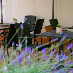 Sunrise Guest house